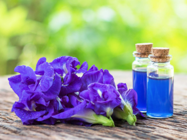 Butterfly-Pea-Extract.png